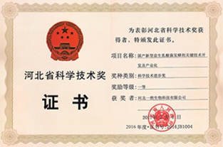 河北省科技進(jìn)步一等獎